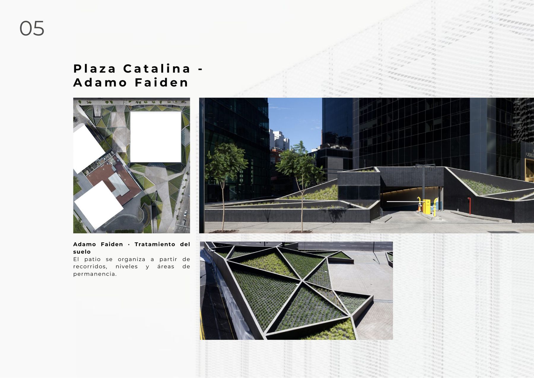 Plaza Catalina, Adamo Faiden